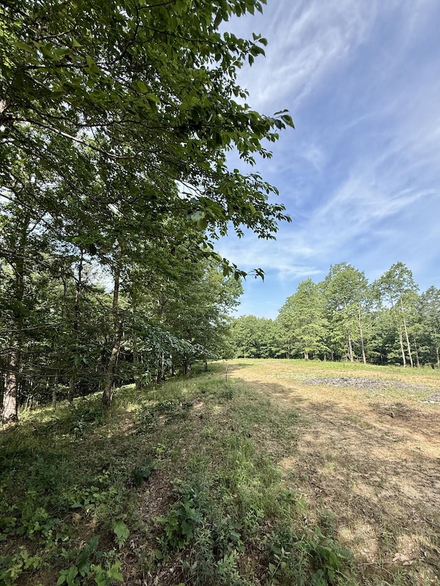 LOT4 Hobbstown Rd Unit 4, Dunlap, TN 37327 - photo 12