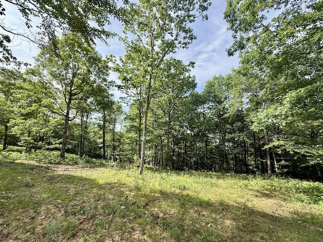 LOT4 Hobbstown Rd Unit 4, Dunlap, TN 37327 - photo 13