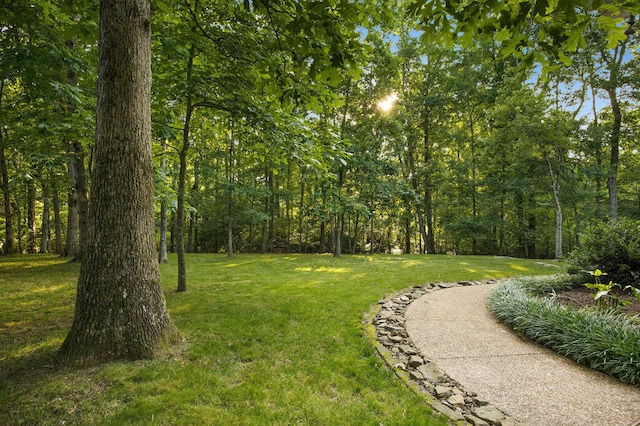 3 Chamblee Ct, Signal Mountain, TN 37377 - view of green lawn with a forest view