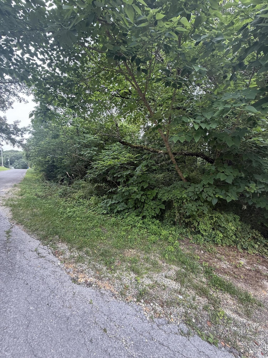 0 Robin Cir, Rossville, GA 30741