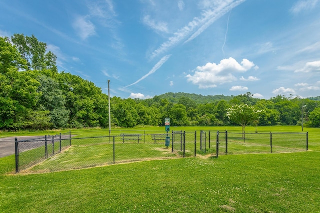 900 Mountain Creek Rd Unit Q263, Chattanooga, TN 37405 - view of yard with a view of trees