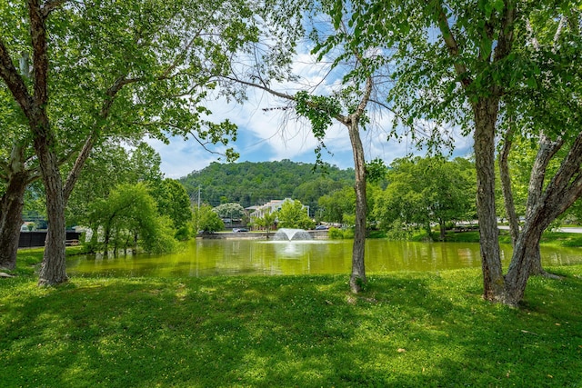900 Mountain Creek Rd Unit Q263, Chattanooga, TN 37405 - water view