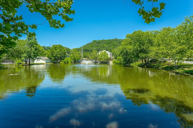 900 Mountain Creek Rd Unit Q263, Chattanooga, TN 37405 - water view