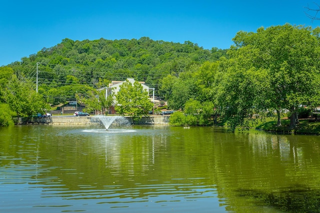 900 Mountain Creek Rd Unit Q263, Chattanooga, TN 37405 - water view with a heavily wooded area
