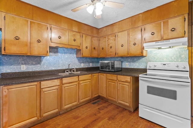 1307 Park Forrest Dr, Fort Oglethorpe, GA 30742 - kitchen with under cabinet range hood, white range with electric cooktop, stainless steel microwave, a textured ceiling, and wood finished floors