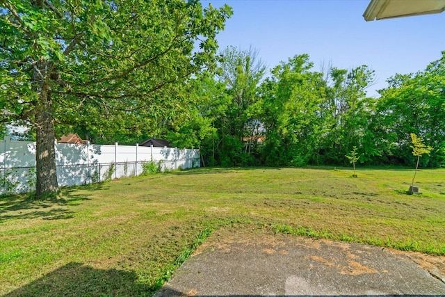 1307 Park Forrest Dr, Fort Oglethorpe, GA 30742 - view of yard featuring view of scattered trees