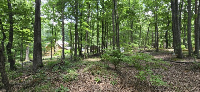 300 Canaan Ln, Rising Fawn, GA 30738 - photo 7