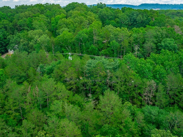 7118 Flagstone Dr, Ooltewah, TN 37363 - photo 5