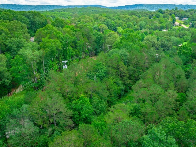 7118 Flagstone Dr, Ooltewah, TN 37363 - photo 7