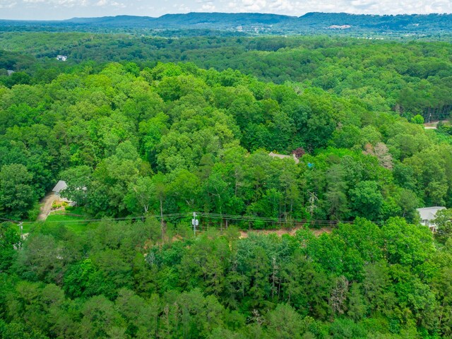 7118 Flagstone Dr, Ooltewah, TN 37363 - photo 14