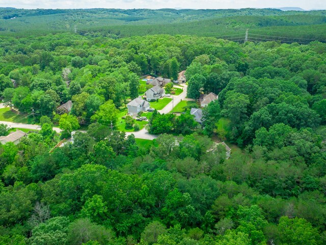 7118 Flagstone Dr, Ooltewah, TN 37363 - photo 18