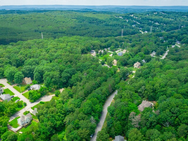 7118 Flagstone Dr, Ooltewah, TN 37363 - photo 22