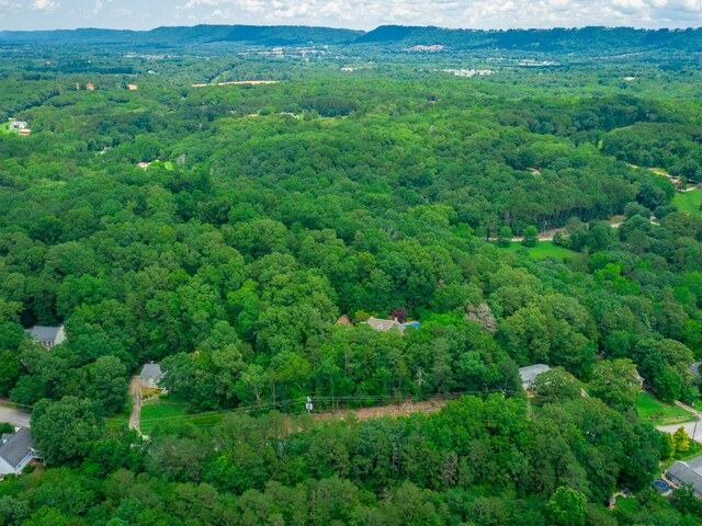7118 Flagstone Dr, Ooltewah, TN 37363 - photo 25