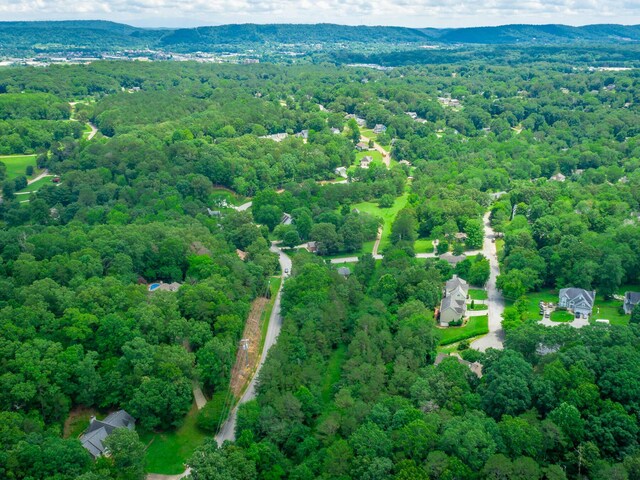 7118 Flagstone Dr, Ooltewah, TN 37363 - photo 27