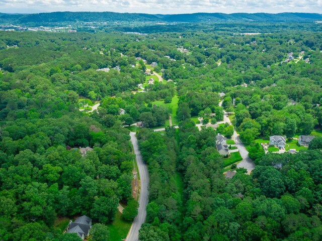 7118 Flagstone Dr, Ooltewah, TN 37363 - photo 28