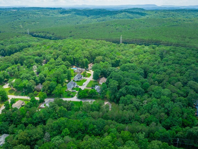 7118 Flagstone Dr, Ooltewah, TN 37363 - photo 30