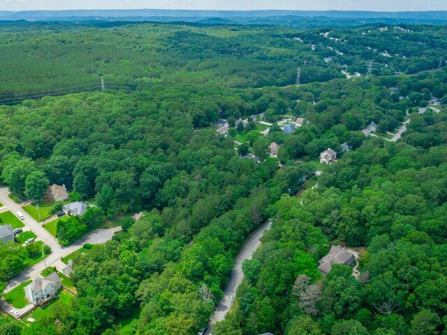 7118 Flagstone Dr, Ooltewah, TN 37363 - photo 31