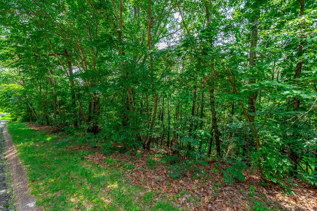 7118 Flagstone Dr, Ooltewah, TN 37363 - photo 32