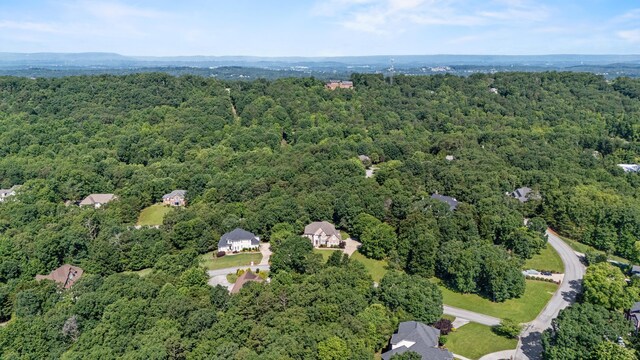 2317 Talking Leaves Dr, Ooltewah, TN 37363 - photo 66