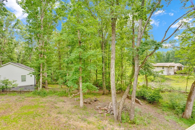 168 Middle Rd, Lookout Mountain, GA 30750 - view of yard