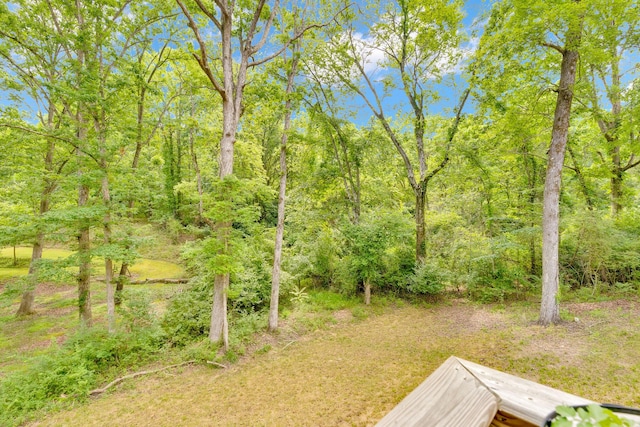 168 Middle Rd, Lookout Mountain, GA 30750 - view of yard