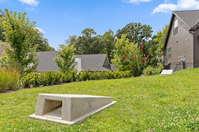 1008 Renaissance Ct, Chattanooga, TN 37419 - view of green lawn