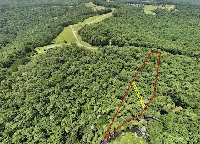 0 Hemlock Bluff Way Lot 15, Deer Lodge, TN 37726