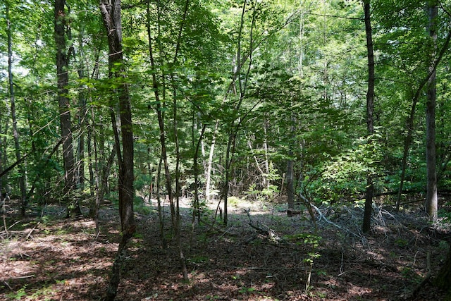 0 Hemlock Bluff Way Lot 15, Deer Lodge, TN 37726