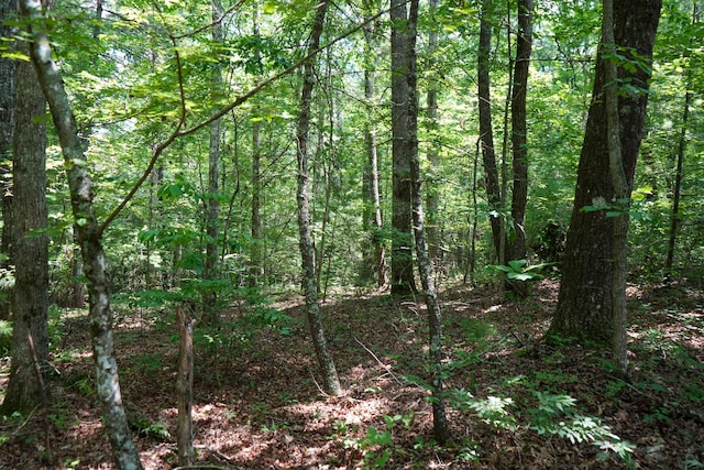 0 Hemlock Bluff Way Lot 15, Deer Lodge, TN 37726