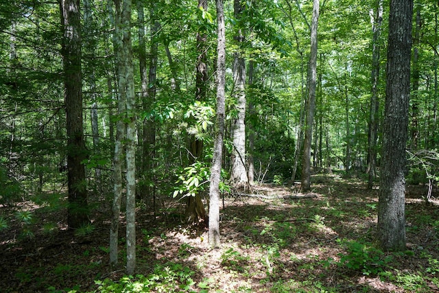 0 Hemlock Bluff Way Lot 15, Deer Lodge, TN 37726