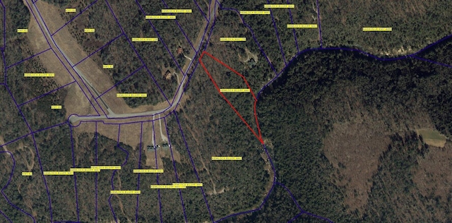 0 Hemlock Bluff Way Lot 15, Deer Lodge, TN 37726