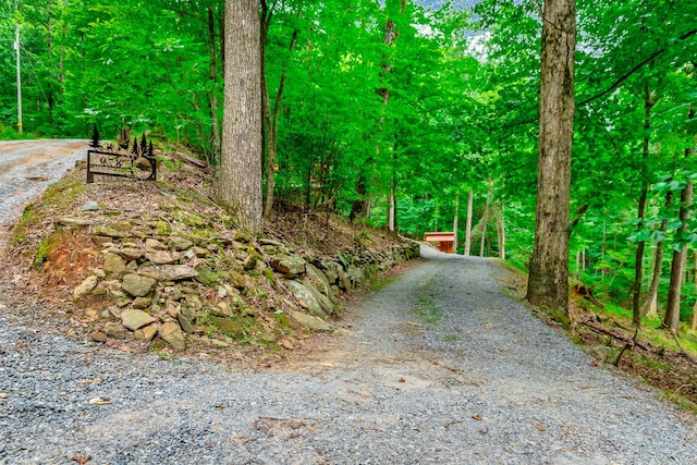 879 Amy Creek Cir, Ellijay, GA 30540 - view of home's community featuring gravel driveway