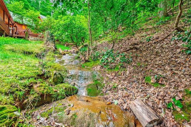 879 Amy Creek Cir, Ellijay, GA 30540 - view of yard