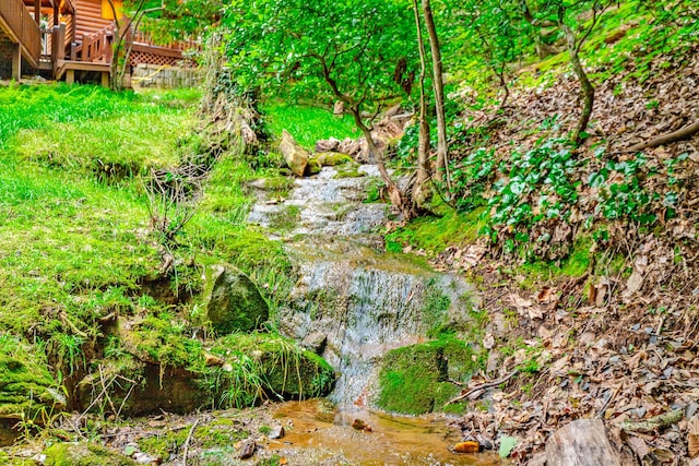 879 Amy Creek Cir, Ellijay, GA 30540 - view of yard