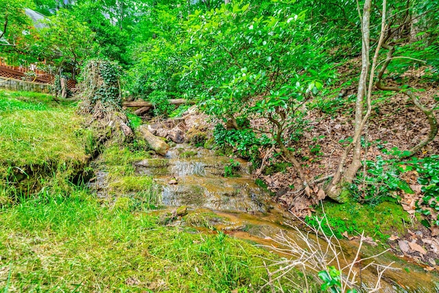 879 Amy Creek Cir, Ellijay, GA 30540 - view of nature