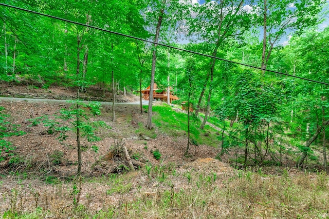 879 Amy Creek Cir, Ellijay, GA 30540 - view of local wilderness