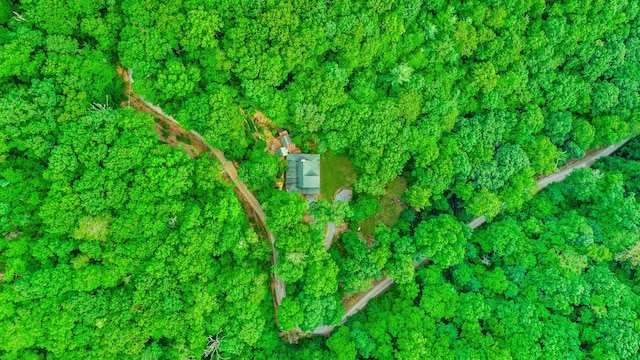 879 Amy Creek Cir, Ellijay, GA 30540 - aerial overview of property's location