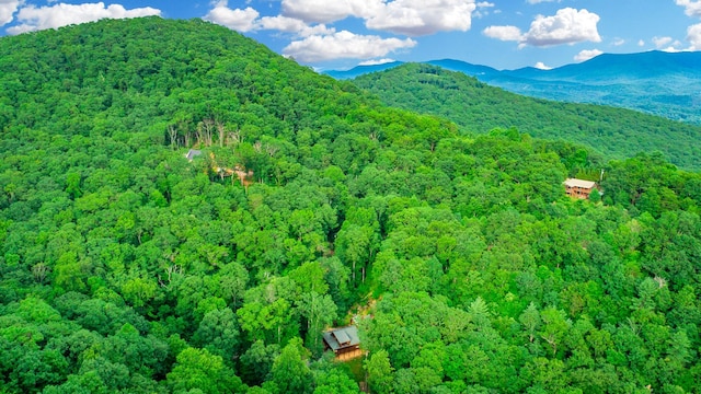 879 Amy Creek Cir, Ellijay, GA 30540 - mountain view with a heavily wooded area