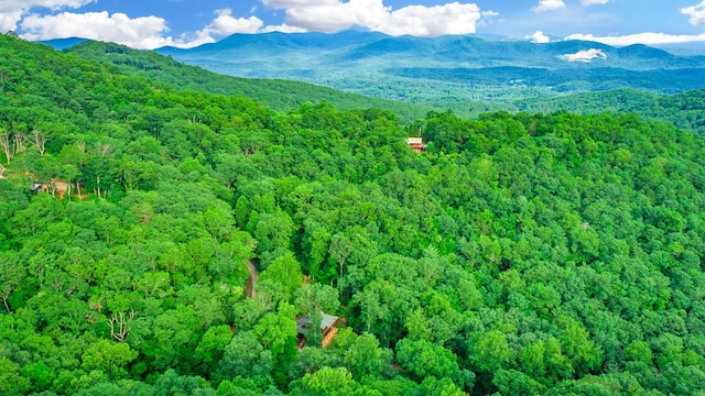 879 Amy Creek Cir, Ellijay, GA 30540 - aerial view of a heavily wooded area