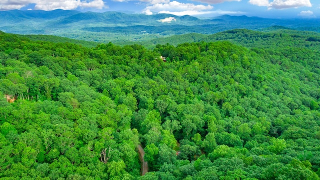 879 Amy Creek Cir, Ellijay, GA 30540 - bird's eye view of a mountain backdrop