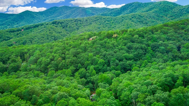 879 Amy Creek Cir, Ellijay, GA 30540 - view of mountain background with a forest