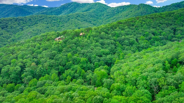 879 Amy Creek Cir, Ellijay, GA 30540 - view of mountain backdrop with a heavily wooded area