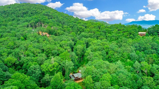 879 Amy Creek Cir, Ellijay, GA 30540 - view of mountain backdrop with a heavily wooded area