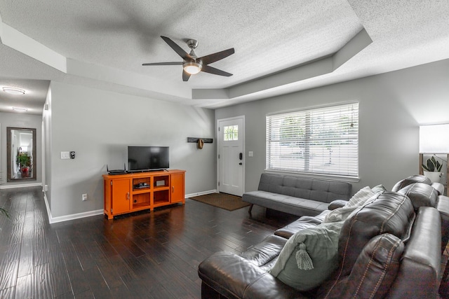 133 Wood Meadow Trl, Ringgold, GA 30736 - living area with a textured ceiling, a tray ceiling, ceiling fan, and wood finished floors