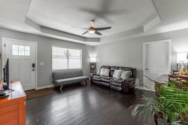 133 Wood Meadow Trl, Ringgold, GA 30736 - living area with a textured ceiling, ceiling fan, a tray ceiling, and wood finished floors