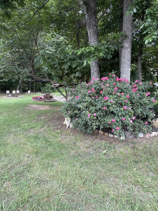 133 Wood Meadow Trl, Ringgold, GA 30736 - view of grassy yard