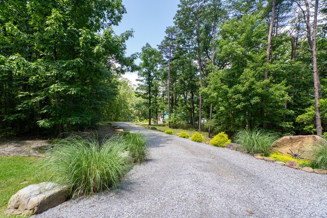 343 Highlands Forest Rd, Menlo, GA 30731 - view of street featuring a forest view