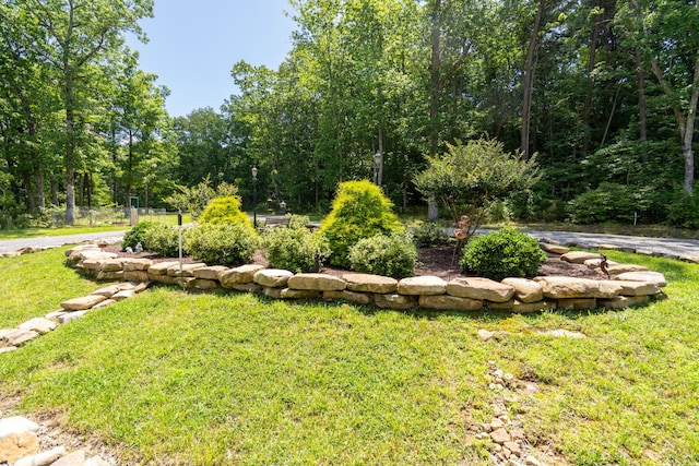 343 Highlands Forest Rd, Menlo, GA 30731 - view of green lawn
