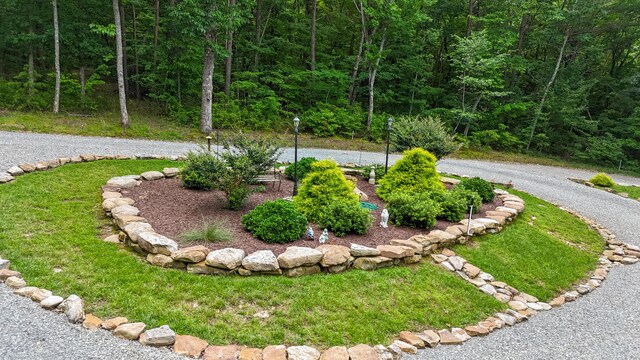 343 Highlands Forest Rd, Menlo, GA 30731 - view of yard