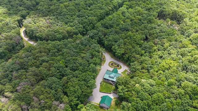 343 Highlands Forest Rd, Menlo, GA 30731 - drone / aerial view of a forest